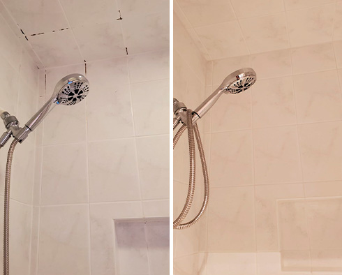 Shower Ceiling and Walls Before and After a Grout Cleaning in New Bern